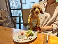 犬と一緒にお食事【WhiteHouse花屋敷】