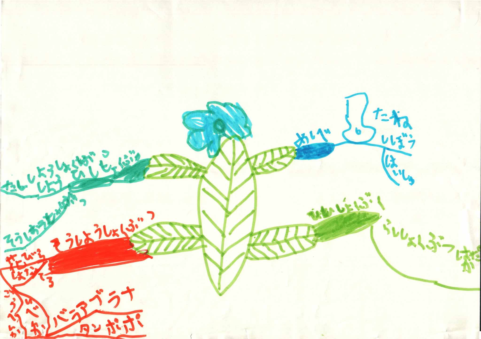 みんなのマインドマップ～種子植物の分類（小学１年生）
