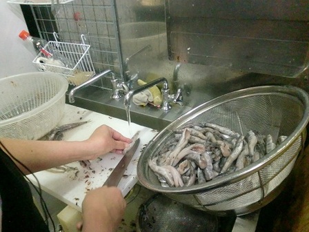 魚をさばきたい！天ぷら揚げたい！美人亭で働きませんか？