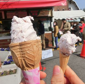 その②グルメ（名古屋農業センターしだれ梅まつり）