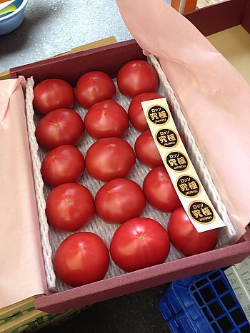 トマト王国 ピカイチで激甘トマトをゲット(豊田市) トマト王国 ピカイチで激甘トマトをゲット(豊田市)