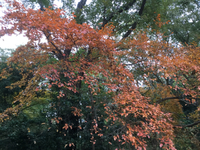 秋の山寿荘