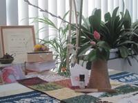 テーブル茶道・12月の茶花とお菓子
