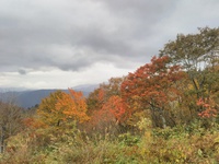 紅葉と雨と山