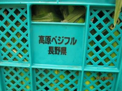 平谷高原とうもろこし　販売開始!!
