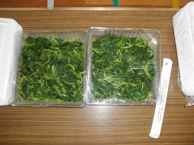 母校・朝日小で食育総合学習会♪