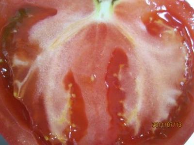 豊田市産完熟とまとのカルパッチョ風