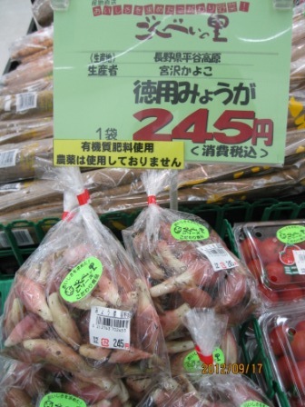 脇役じゃないよ!!主役級のみょうがの卵とじ