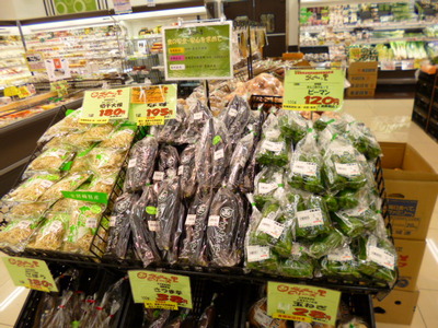 南国宮崎産ピーマン