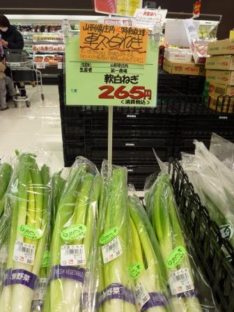 軟白ねぎ