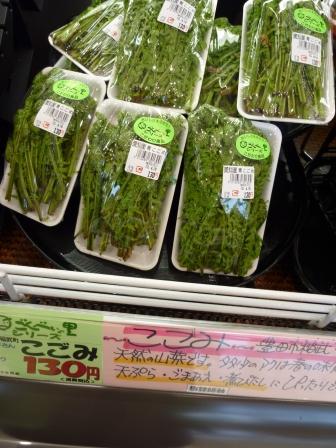 天然山菜こごみ