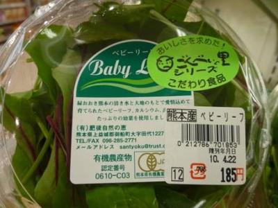 有機栽培ベビーリーフ