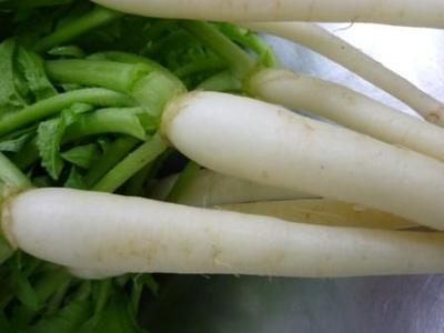 オイスカのぬき菜たち
