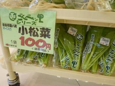 オイスカのぬき菜たち