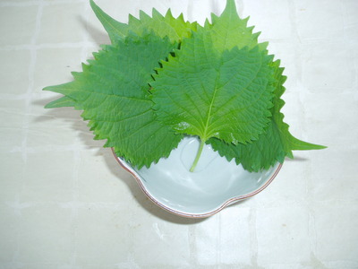 大葉（主役じゃないけれど・・・）