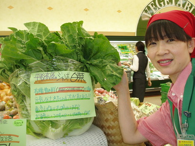 平谷高原のｼﾞｬﾝﾎﾞ白菜