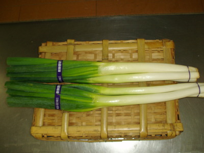 白ねぎ