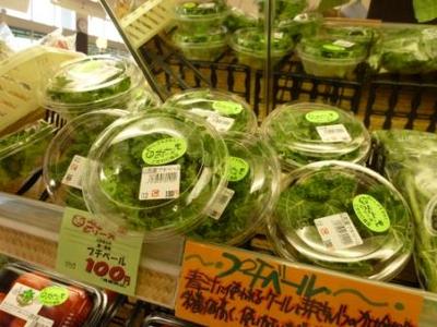 プチベールのベールをはがせ!！