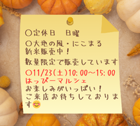 11月のお知らせです！