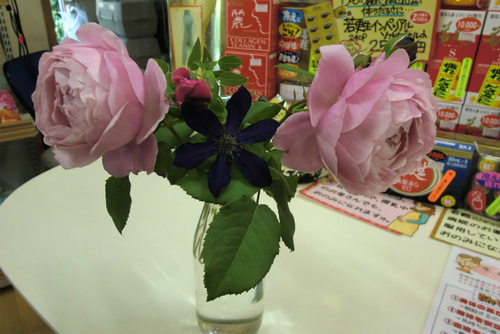 庭の花を店に 庭の花を店に