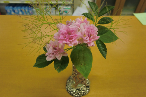 庭の花を店に 庭の花を店に