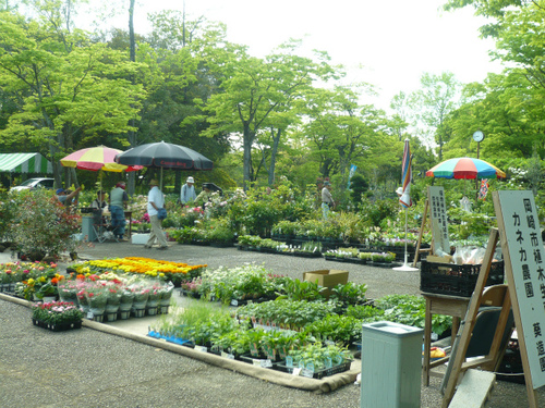 緑化センター 緑化センター