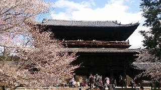 京都の南禅寺へ花見！