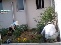 畑でオヨネーズが・・・