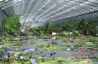 シルバーウィークは「掛川花鳥園」へ！