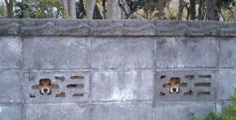 のぞき