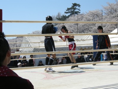 桜まつりボクシング大会でナイスファイト！
