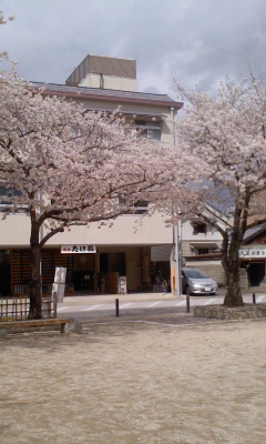 桜城址公園で土曜日に