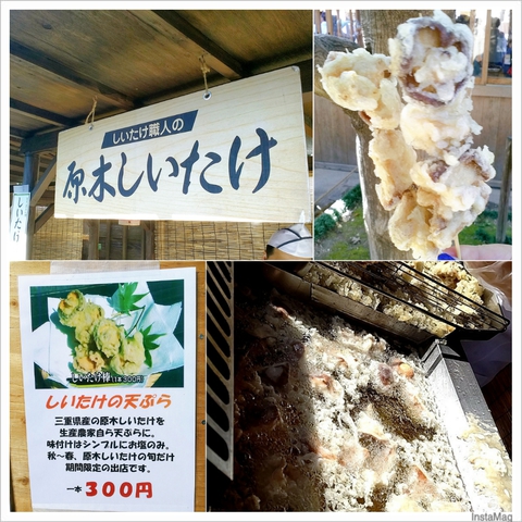 お伊勢さん食べ歩き~おかげ横丁編~ お伊勢さん食べ歩き~おかげ横丁編~
