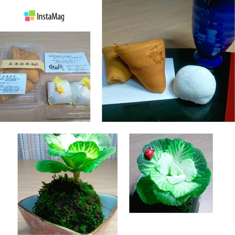 STREET&PARK MARKET★購入品【豊田市】 STREET&PARK MARKET★購入品【豊田市】