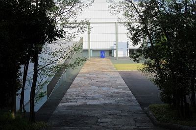 今年も豊田市美術館に思い川桜が還ってきた