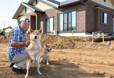 ヘリで屋根から救出された柴犬君たちの話【東日本豪雨】 ヘリで屋根から救出された柴犬君たちの話【東日本豪雨】