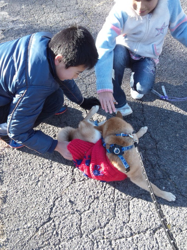 どうしてこうなった? どうしてこうなった?