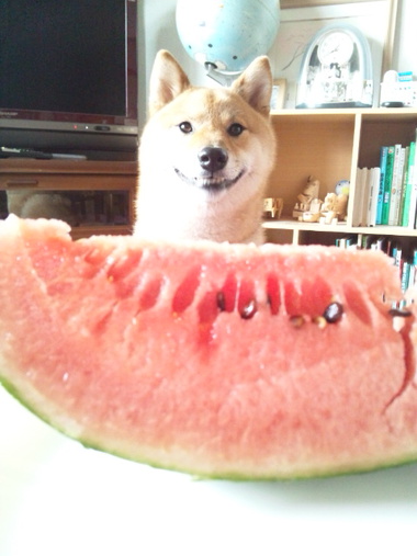 ひとりじめ ひとりじめ