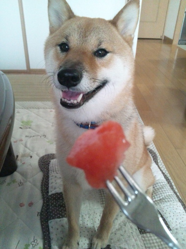 ひとりじめ ひとりじめ