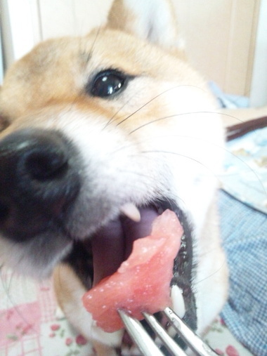 ひとりじめ ひとりじめ