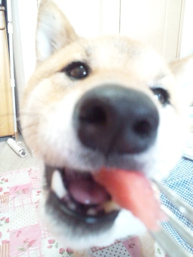 ひとりじめ ひとりじめ