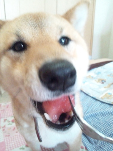 ひとりじめ ひとりじめ