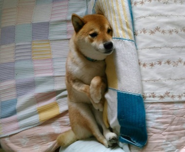 ちびっ子のみんなは元気に遊んでるかな? ちびっ子のみんなは元気に遊んでるかな?