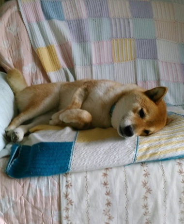 ちびっ子のみんなは元気に遊んでるかな? ちびっ子のみんなは元気に遊んでるかな?