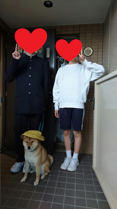 4月8日はシバの日!【柴犬あるある】 4月8日はシバの日!【柴犬あるある】