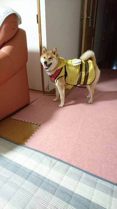 あなたにおすすめ あなたにおすすめ