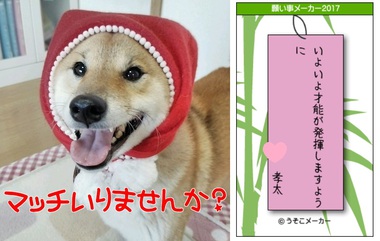 七夕の願い事【願い事メーカー】 七夕の願い事【願い事メーカー】