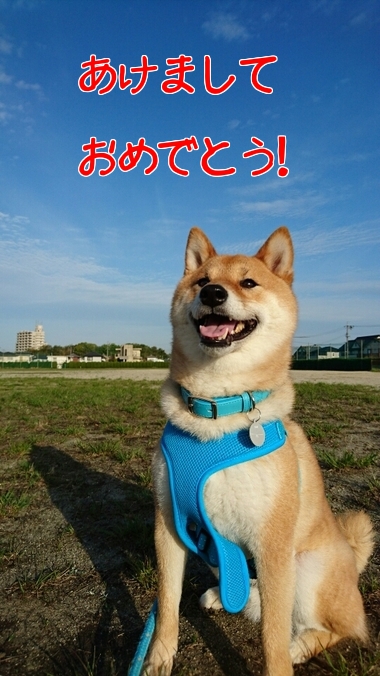 2017年あけましておめでとうございます 2017年あけましておめでとうございます