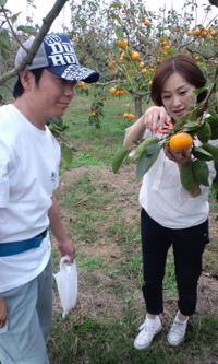 「川本えこ」さんと柿