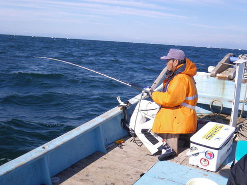 １１月１２日　盛昇丸 師崎沖 （沖島） うたせ真鯛釣り